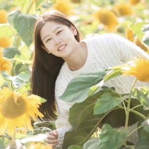 云波晨碧