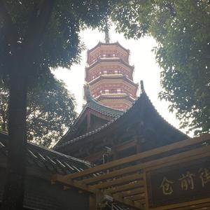 几句分享 头像