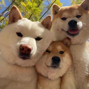 温柔泊头1p9 头像