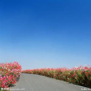 不一样的烟火啊不一样 头像