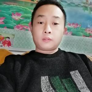 觅花蜂 头像