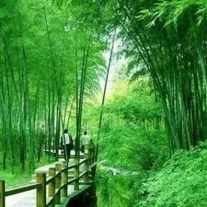 春荣2091
