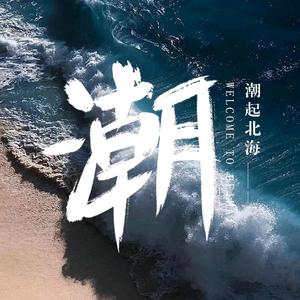 潮起北海头像