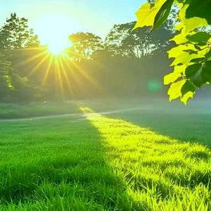 三月鱼倾听 头像