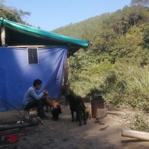 有狗陪伴的日子 头像