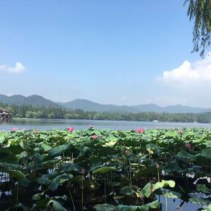 山上洒脱吟咏的诗人 头像