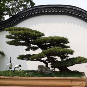 时空与轮回
