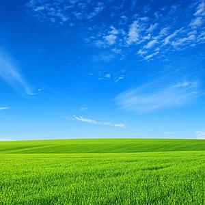 行者计老磨 头像