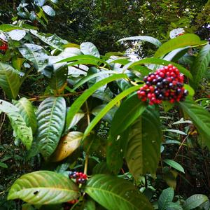 开心的娴儿 头像