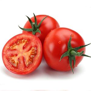 西红柿视点 头像