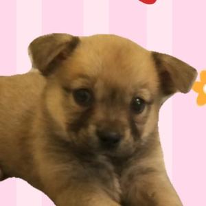 牛牛是个宝宝 头像