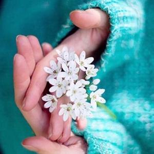 非凡天空oS 头像