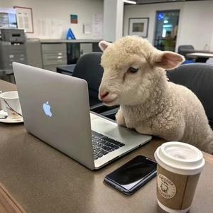 羊羊村Luck 头像