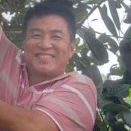 老班长救槟榔 头像