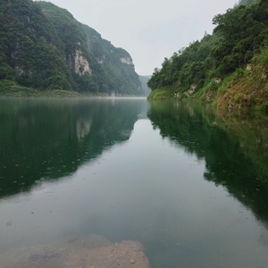 休闲野钓飞哥