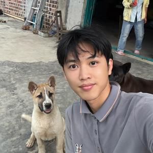 波兄vlog 头像