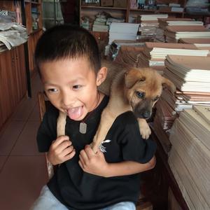 梦想很大现实很鬼 头像