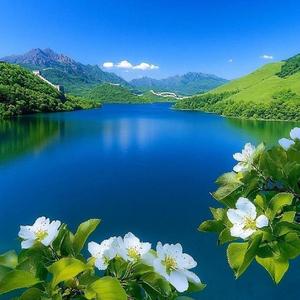 小小大声讲 头像