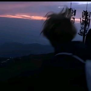 番茄123580980397166 头像