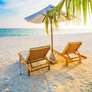 可靠压力山大 头像