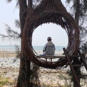 资深耙耳朵 头像