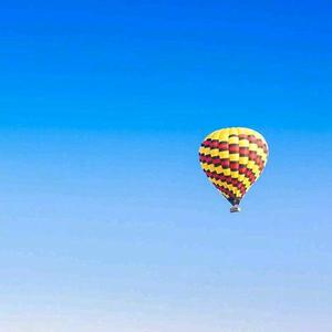 幸运圆月tj0 头像