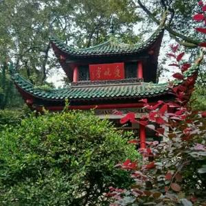 踏遍青山mt