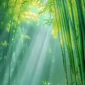 知足常乐 头像
