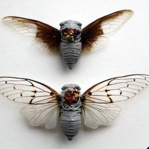 如何检查你的运营商是否已经在iOS 18中启用RCS支持 - 今日头条