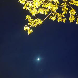 用户5871796786 头像