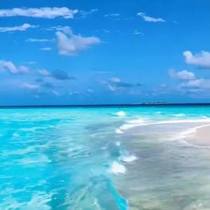 纵览天下奇闻 头像