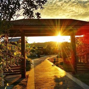 薇薇生活情感 头像