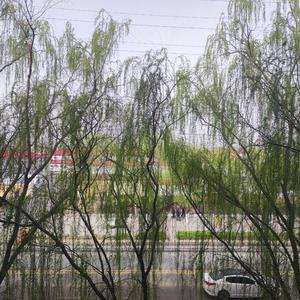 秀容山川