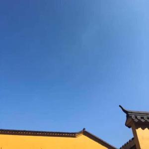 小叶汽车闲话 头像