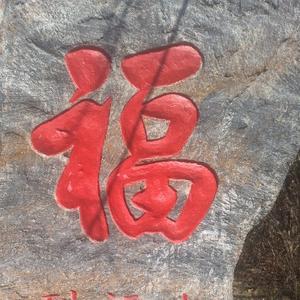 莒国旅行记 头像