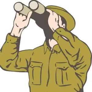 第三方观察员 头像