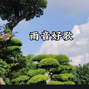 雨音好歌头像