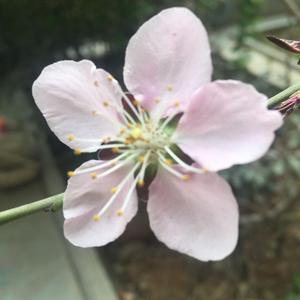结婚十年