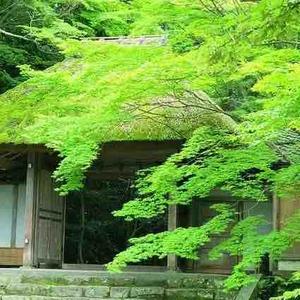 仁爱漂流瓶zT 头像