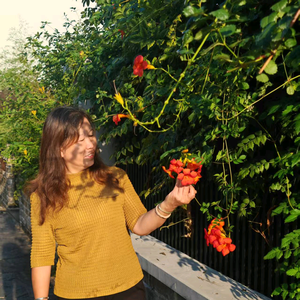 暖心(手机摄影〉 头像