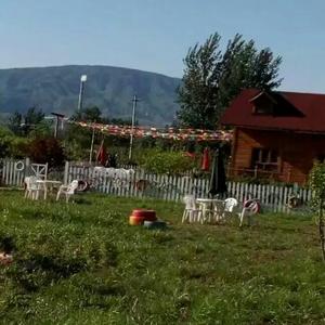 想飞的鱼儿3 头像