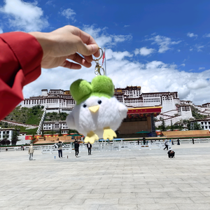 半生轻狂客 头像