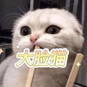 大脸猫呼噜头像