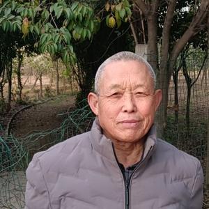清新糯米B8