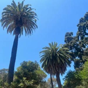 期刊论文指导编辑 头像