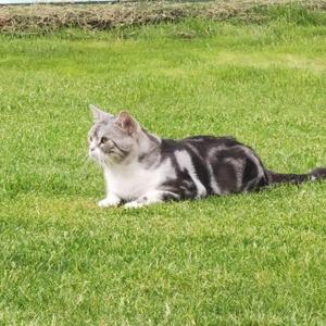 心怀宇宙的大元哥 头像