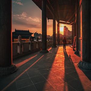 野鹤在扫街 头像