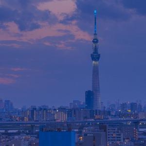 星星侃娱乐 头像