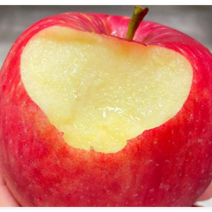 奎哥论吃喝玩乐耍 头像