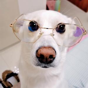 小神兽基础数学 头像